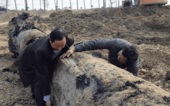 Gỗ quý, Gỗ âm trầm