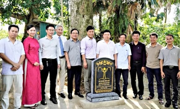 cây trầm hương, trầm hương hơn 200 tuổi, Cây Di sản Việt Nam