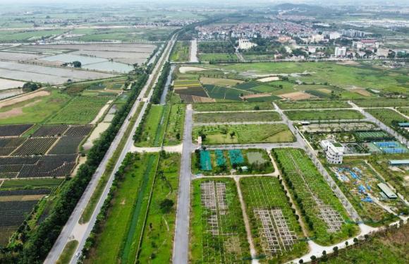 mua bán đất đai, thủ đoạn lừa đảo, mua đất