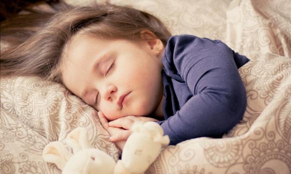 tại sao, vì sao, kiến thức, bò xỏ mũi đeo vòng, tại sao bò lại phải xỏ mũi đeo vòng