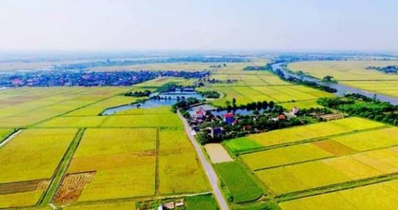 Đất 50 năm, cấp sổ đỏ, luật đất đai