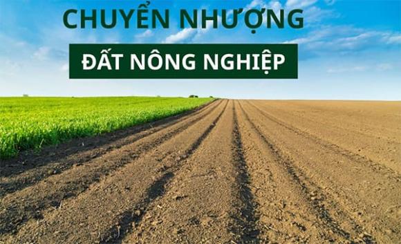 chuyển nhượng quyền sử dụng đất nông nghiệp, Luật Đất đai 2024