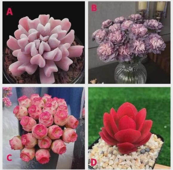 Trắc nghiệm tâm lý