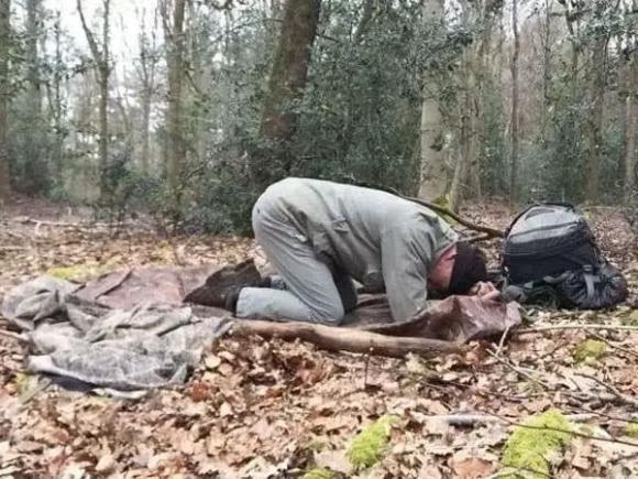 giấc ngủ, gối ngủ, gối bông