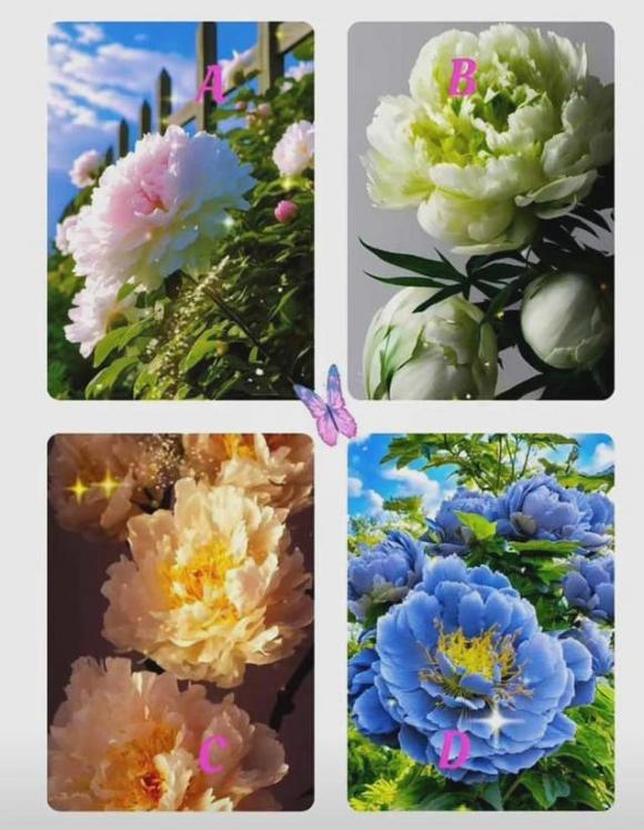 Quiz, trắc nghiệm tâm lý