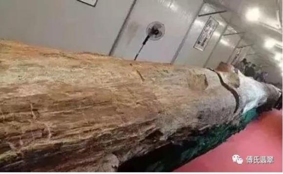Khúc gỗ 'báu vật' trị giá gần 700 tỷ được phát hiện, cảnh sát lập tức phong tỏa hiện trường 1 Gỗ quý, gỗ hoá ngọc