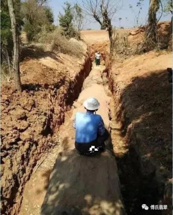 Khúc gỗ 'báu vật' trị giá gần 700 tỷ được phát hiện, cảnh sát lập tức phong tỏa hiện trường 0 Gỗ quý, gỗ hoá ngọc