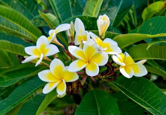 phong thủy