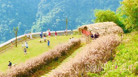 nông trại, nông trại ở tam đảo, kinh doanh