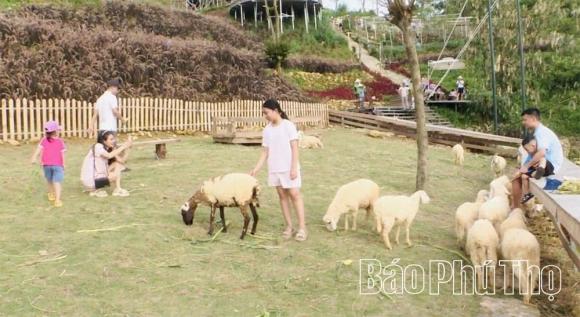 nông trại, nông trại ở tam đảo, kinh doanh
