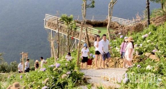 nông trại, nông trại ở tam đảo, kinh doanh