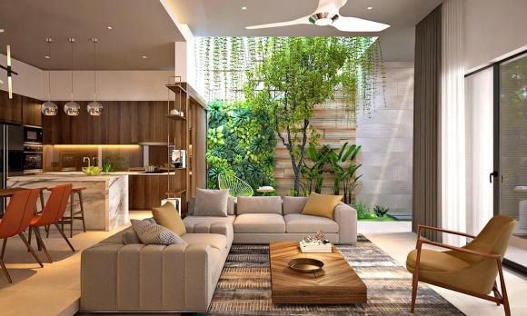 cây khế phong thủy, phong thủy, cách trồng cây phong thủy