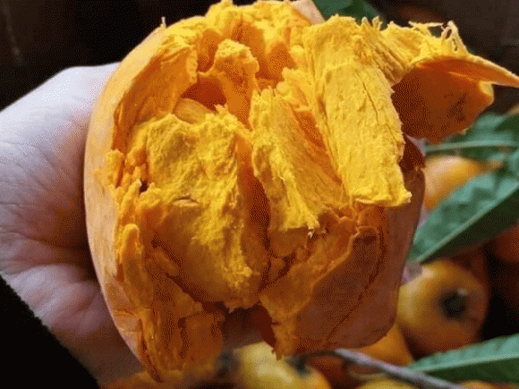 leekima, trứng gà, đặc sản