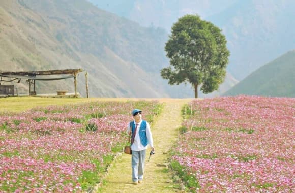 Tà Xùa, Sơn La, du lịch