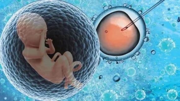 trẻ IVF, trẻ sơ sinh trong ống nghiệm, Sự khác biệt giữa trẻ sơ sinh trong ống nghiệm và trẻ sơ sinh bình thường