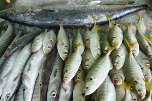 cá ướp urê, cá ướp hàn the, thực phẩm bẩn, sức khỏe