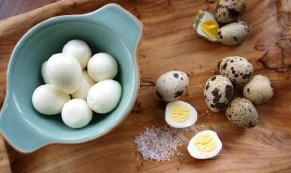 trứng nào bổ nhất, Trứng vịt, trứng cút,  khiến thức
