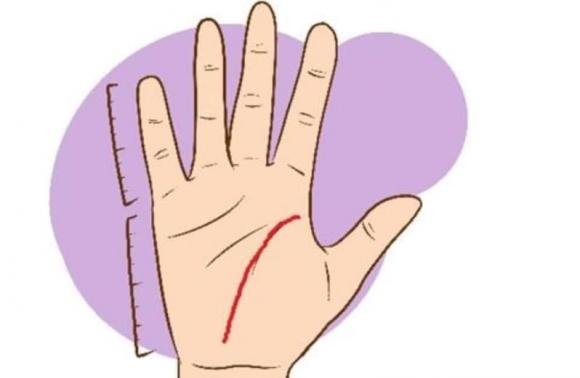 xem bói chỉ tay, xem bói chỉ tay để đoán thời điểm kết hôn, cuộc sống gia đình