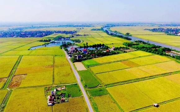 Luật Đất đai 2024, Thu hồi đất nông nghiệp, bồi thường đất nông nghiệp