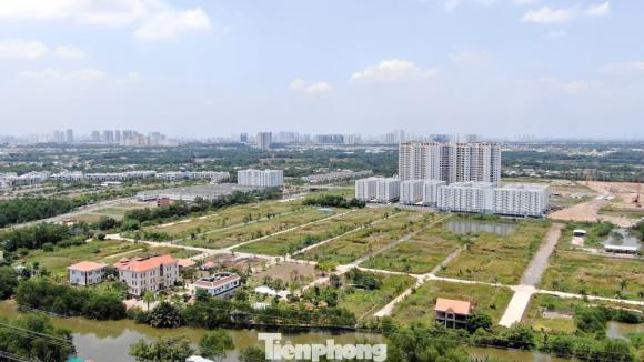 Thị trường bất động sản 2025, Phân khúc bất động sản nào đang tăng giá mạnh nhất