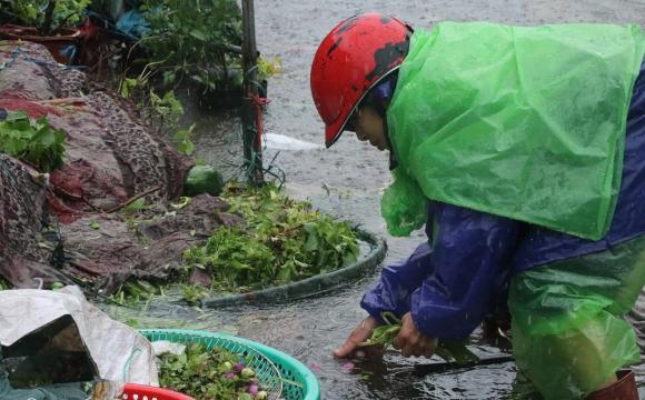 bão số 10, lũ sau bão, chợ Vinh