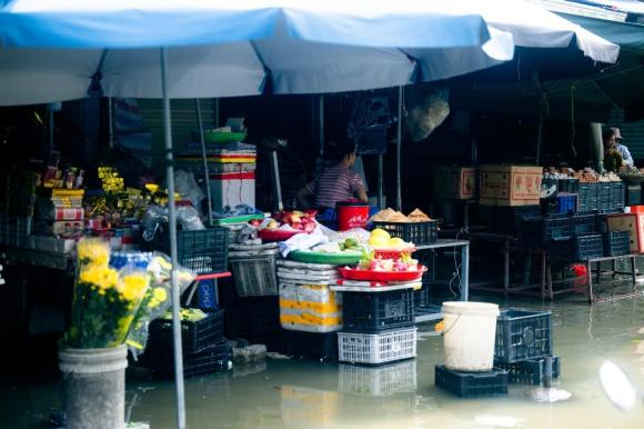 bão số 10, lũ sau bão, chợ Vinh