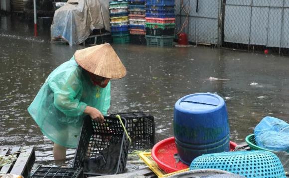 bão số 10, lũ sau bão, chợ Vinh