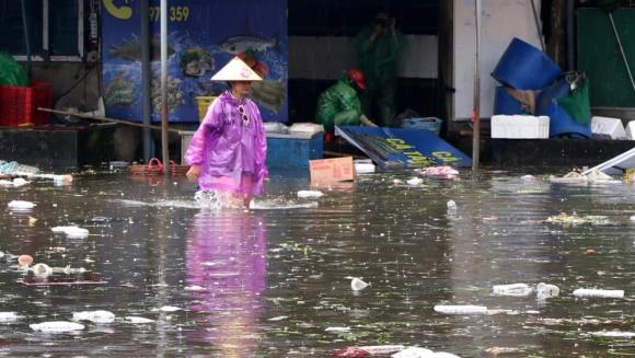 bão số 10, lũ sau bão, chợ Vinh