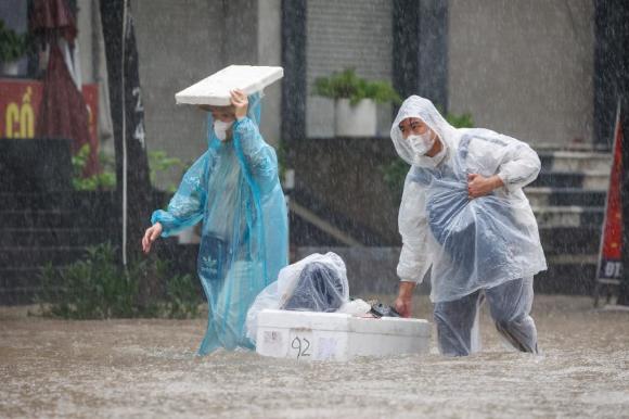 Khu biệt thự triệu đô ngập nước, Khu đô thị Nam An Khánh, Geleximco