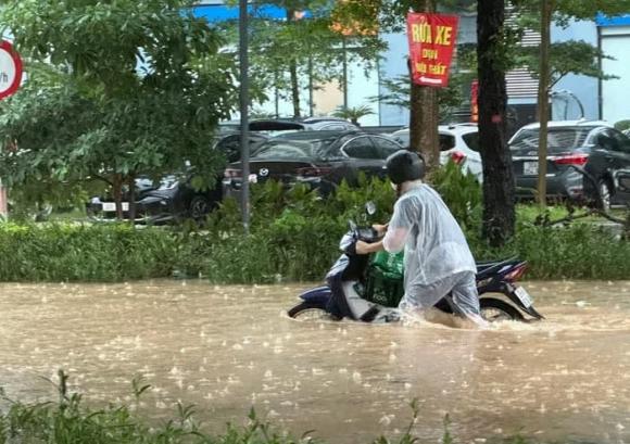 Khu biệt thự triệu đô ngập nước, Khu đô thị Nam An Khánh, Geleximco