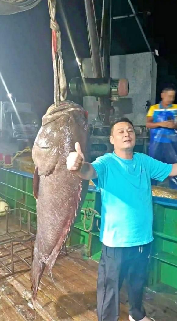 cá mú, thuỷ quái, Trung Quốc