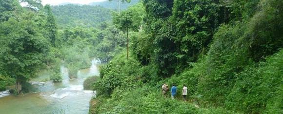 Phú Thọ, hổ, kiến thức