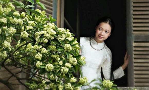 top điểm đến mùa thu đẹp nhất châu Á, Hà Nội 