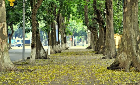 top điểm đến mùa thu đẹp nhất châu Á, Hà Nội 