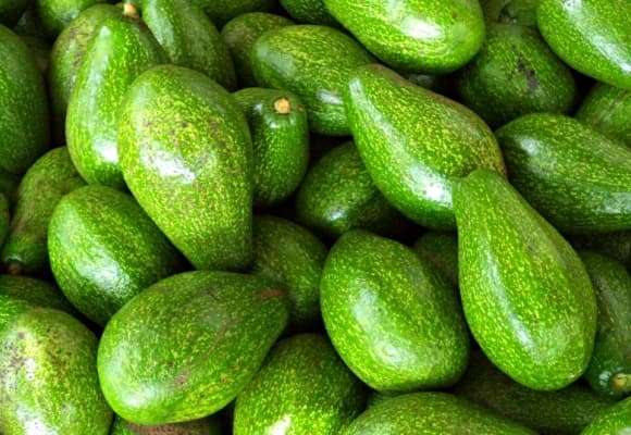 quả bơ, giảm cân, gan nhiễm mỡ
