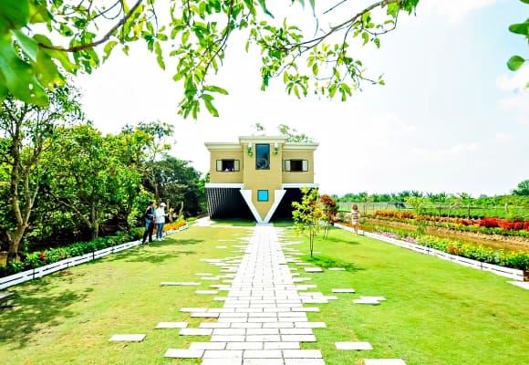 ngôi nhà độc dị nhất Việt Nam, nhà trên cây giữa lòng Hà Nội, 'ngôi nhà điên' ở Đà Lạt