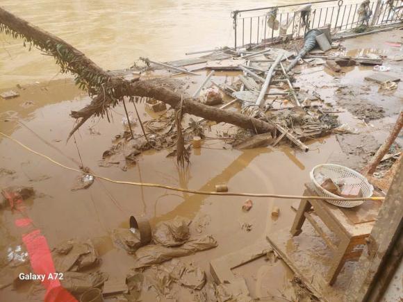 Hoa hậu Nông Thúy Hằng, sao Việt
