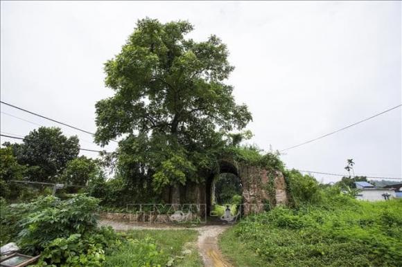 Thành nhà Mạc, Thành nhà Mạc Phú Thọ, kiến thức