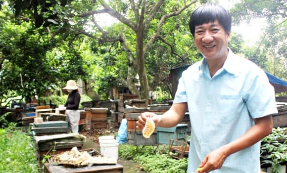 mật ong, mật ong dạng bột