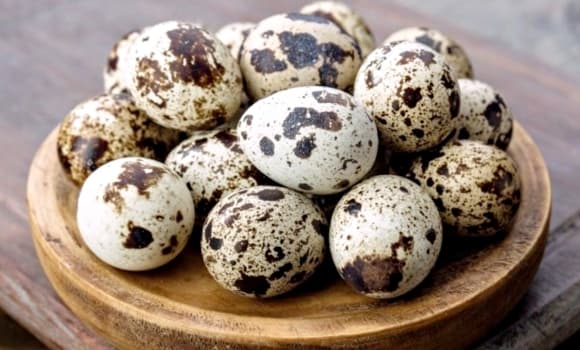 trứng cút, Loại quả giàu canxi gấp 5 lần trứng gà