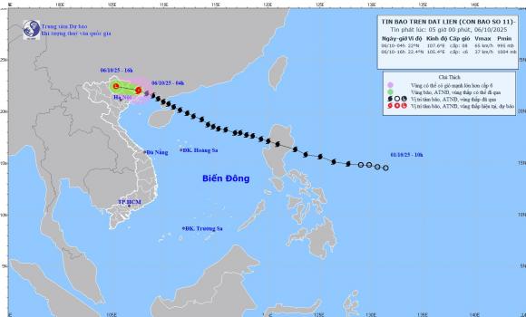 Bão số 11, dự báo bão số 11