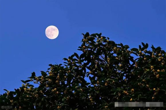 dự báo thời tiết mùa đông 