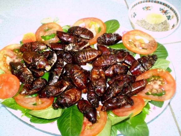 Đặc sản bọ rầy, bọ rầy an giang