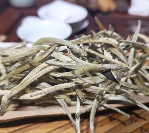Loại đặc sản đắt đỏ bậc nhất Việt Nam, chè bạch long