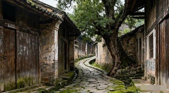 con đường, rủi ro