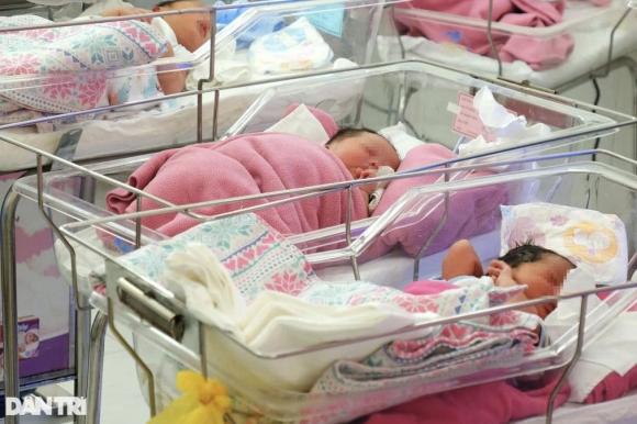 tỉnh thành đông dân nhất Việt Nam, TP HCM