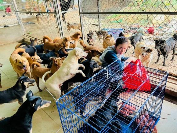 Sao Việt 10/10, tin sao việt mới nhất