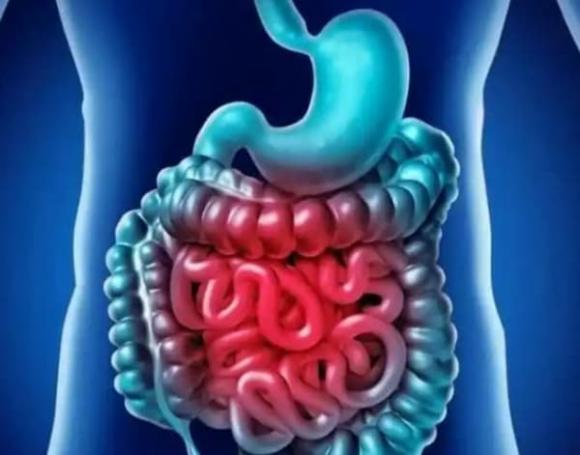 Tuổi thọ liên quan đến tần suất đại tiện, tuổi thọ