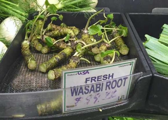 Loại củ đắt đỏ bậc nhất thế giới, wasabi