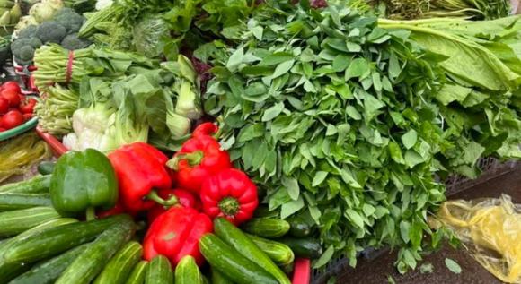 rau ngót, làm giàu từ rau ngót, kiến thứca